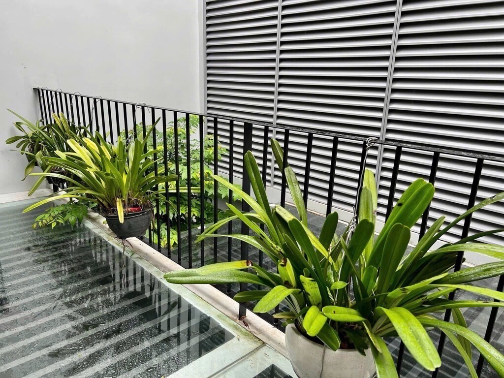 MẶT TIỀN 4.3M NỞ HẬU 8.3M - DÀI 28M - VỪA Ở VỪA KINH DOANH - SẴN DÒNG TIỀN 240 tr/ NĂM Nguyễn Hữu T