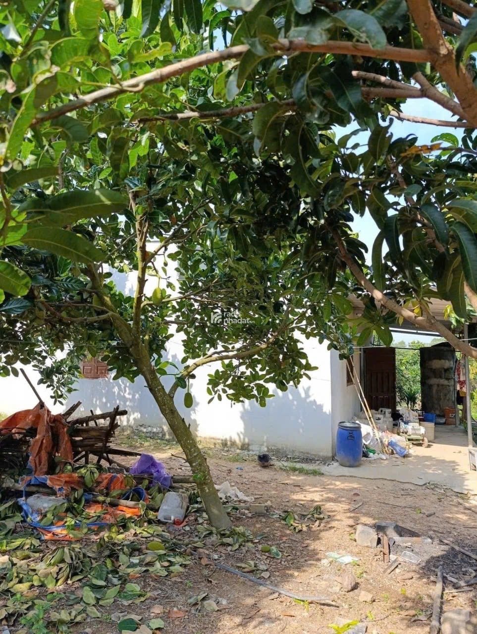 Chính chủ kẹt tiền bán lô đất gần KCN Bình Dương