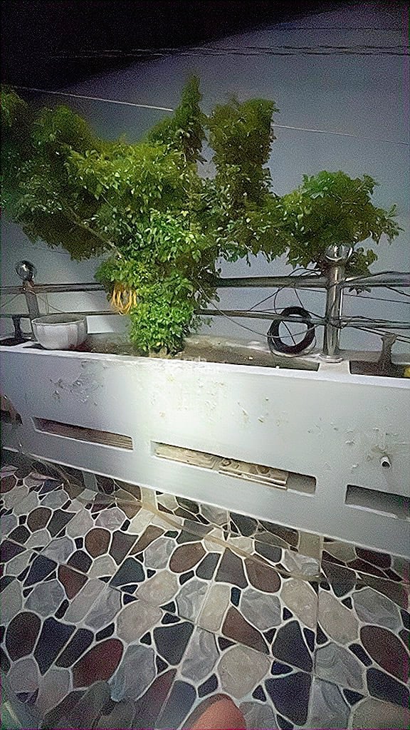 Bán nhà đường tân trụ phường 15 tân bình