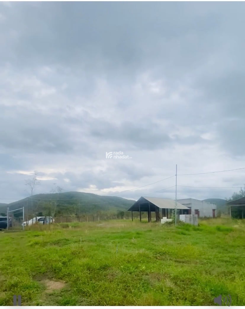 Chính chủ định cư nước ngoài cần bán lô đất CLN xã thuận hòa, bình thuận, dt 22,139m2 4,2 tỷ