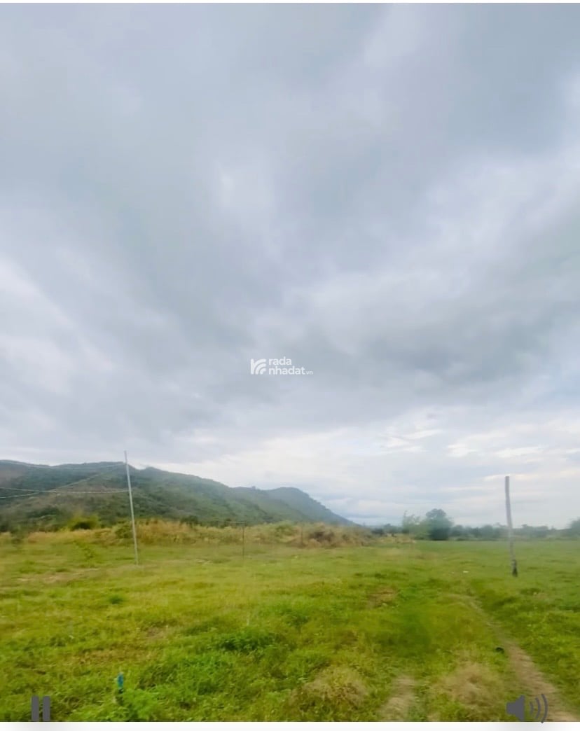 Chính chủ định cư nước ngoài cần bán lô đất CLN xã thuận hòa, bình thuận, dt 22,139m2 4,2 tỷ