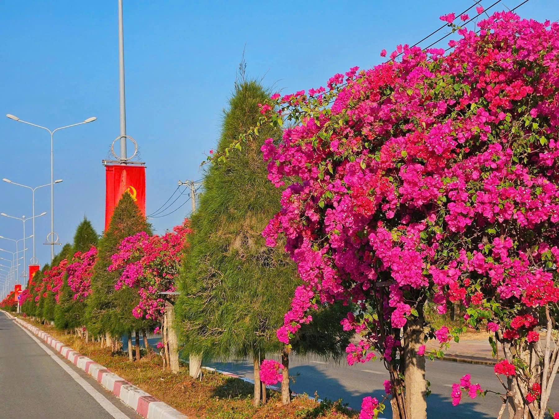 CĂN HỘ CẦN GIỜ - SAU BAO NĂM CHỜ - BOOKING BÂY GIỜ - KHÔNG LÀ THẪN THỜ