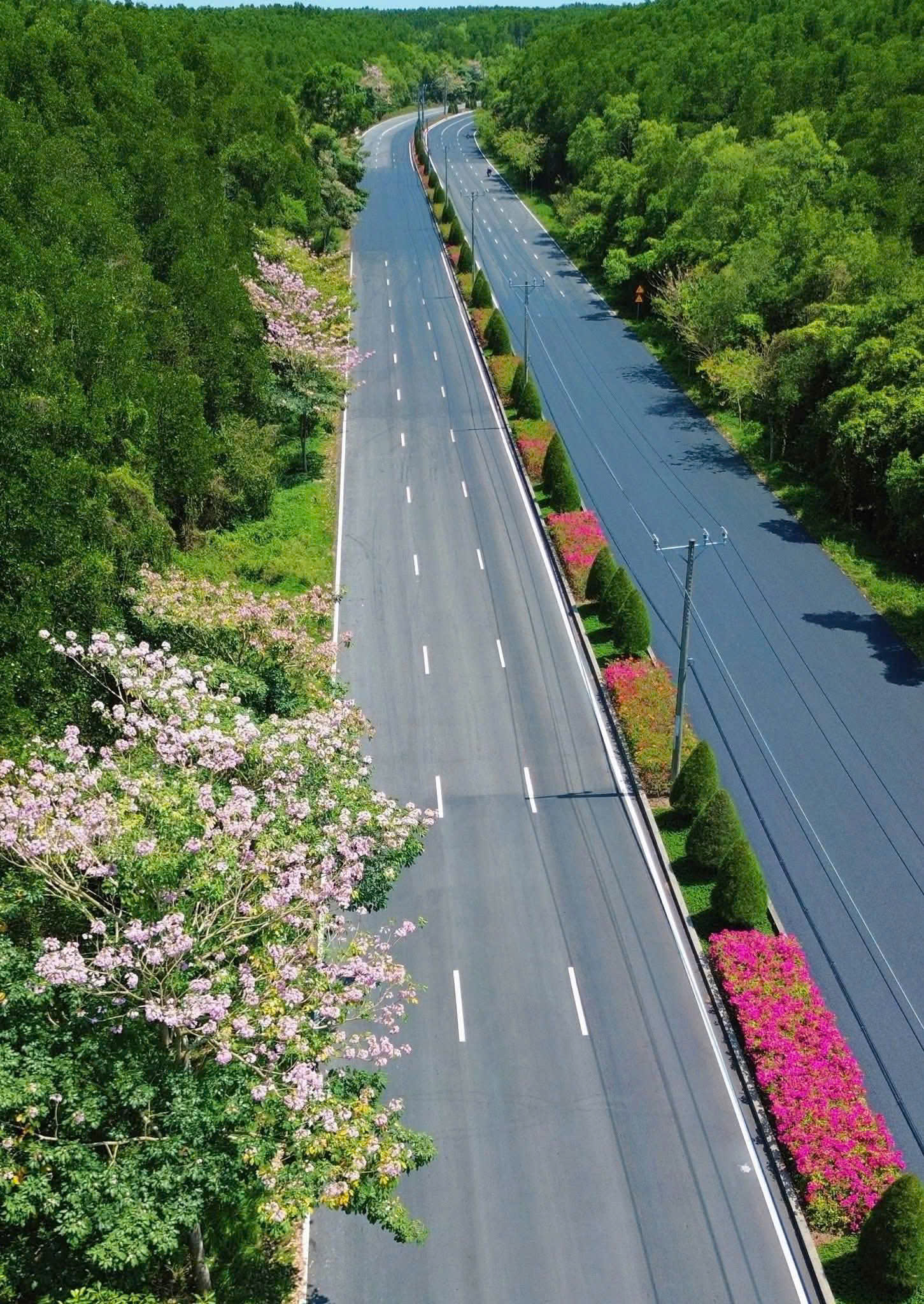 CĂN HỘ CẦN GIỜ - SAU BAO NĂM CHỜ - BOOKING BÂY GIỜ - KHÔNG LÀ THẪN THỜ