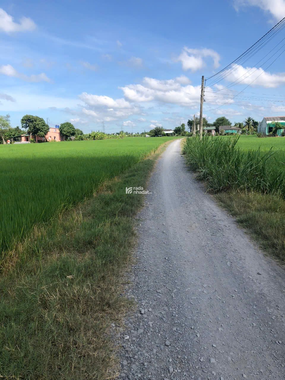BÁN ĐẤT XÃ TÂN BÌNH TÂN TRỤ ĐƯỜNG XE HƠI SÁT TỈNH LỘ  2000M2 NHIK 1,5 TỶ 