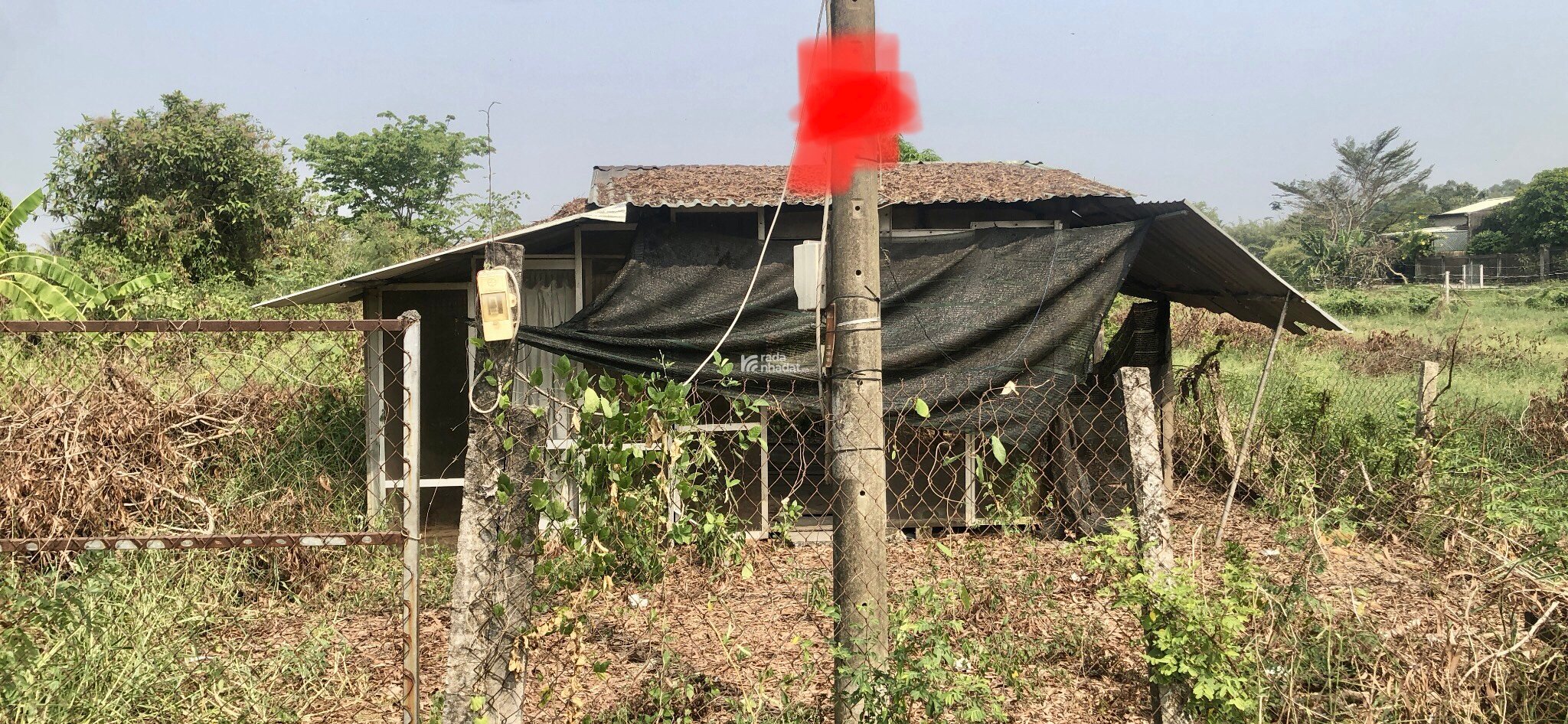 Bán 981,4 m2 đất trồng cây lâu năm