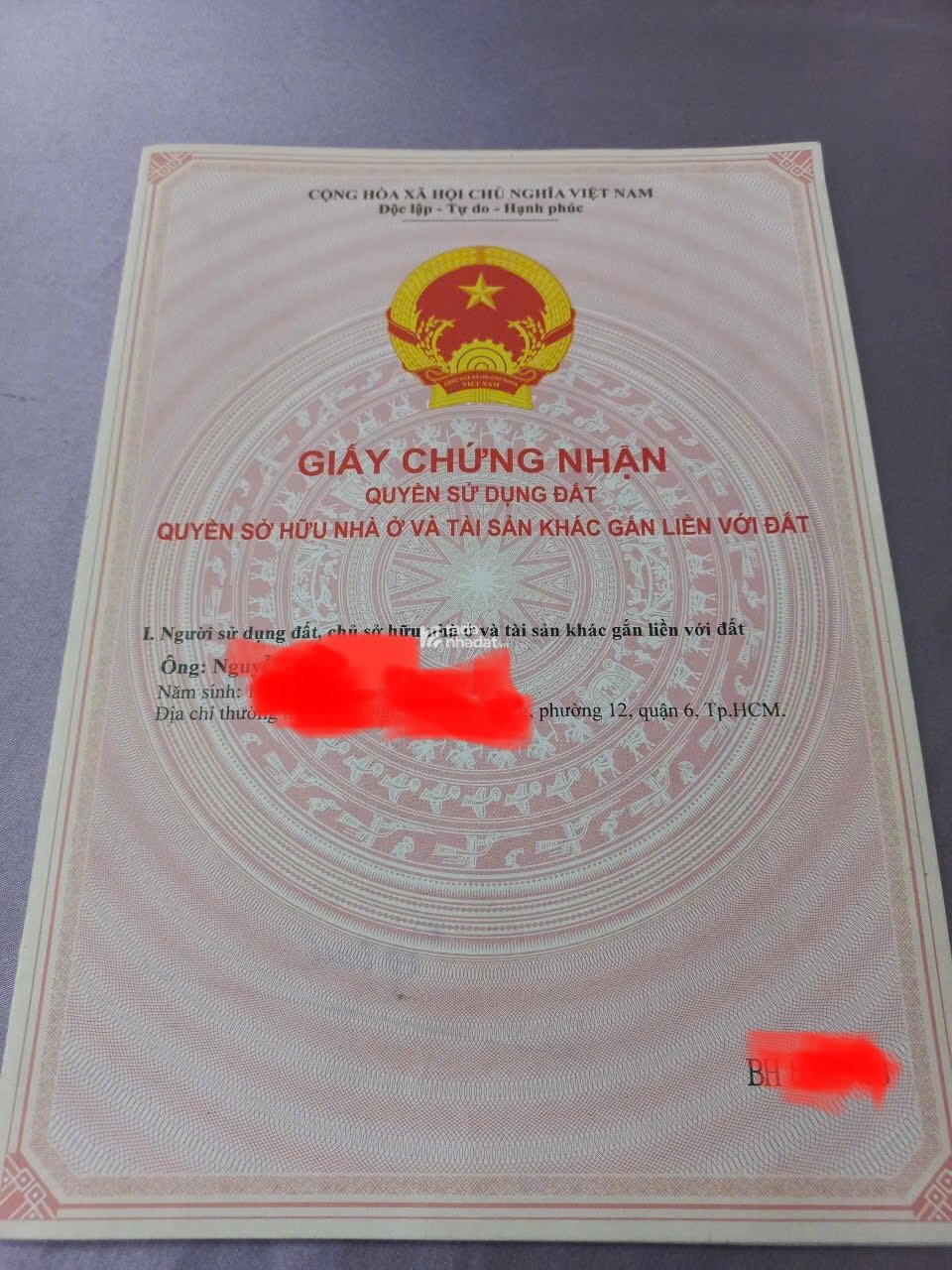 Bán 981,4 m2 đất trồng cây lâu năm