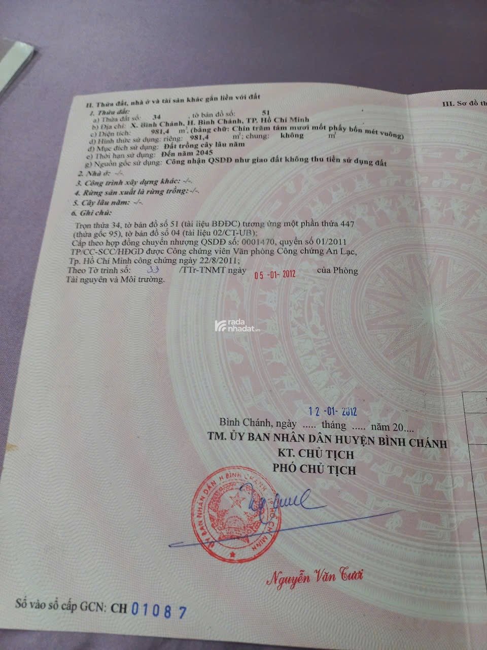 Bán 981,4 m2 đất trồng cây lâu năm