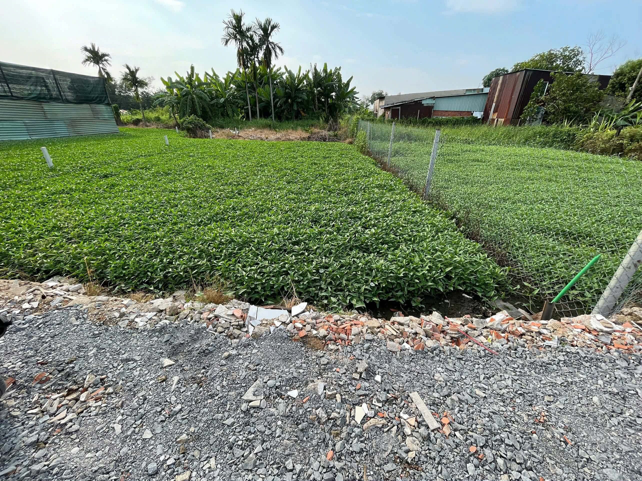  BÁN ĐẤT THẠNH XUÂN 14, ĐƯỜNG TRẢI ĐÁ, 100M2, GIÁ 600TR Thạnh Xuân 14 đi vô 