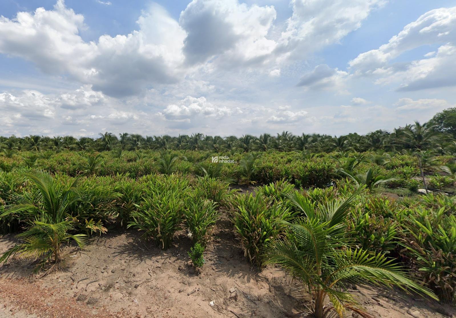 Bán 5.000m2 đất vườn Lê Minh Xuân, Bình Chánh