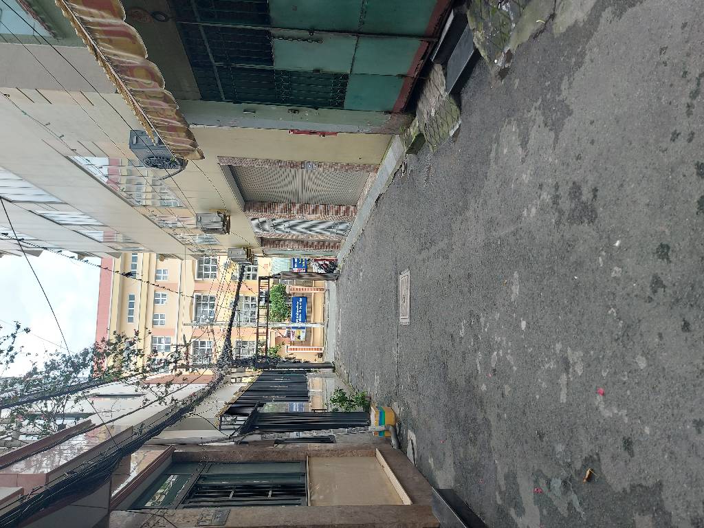  Gồm 4PN, 4WC, sân thượng, có phòng ngủ trệt cho người lớn tuổi.

