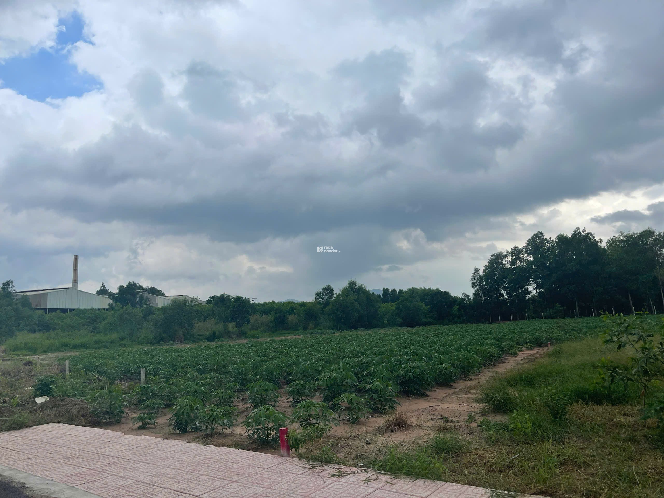 Bán đất Long Thành Đồng Nai, sổ hồng riêng, thổ cư, xây dựng tự do, sang tên ngay