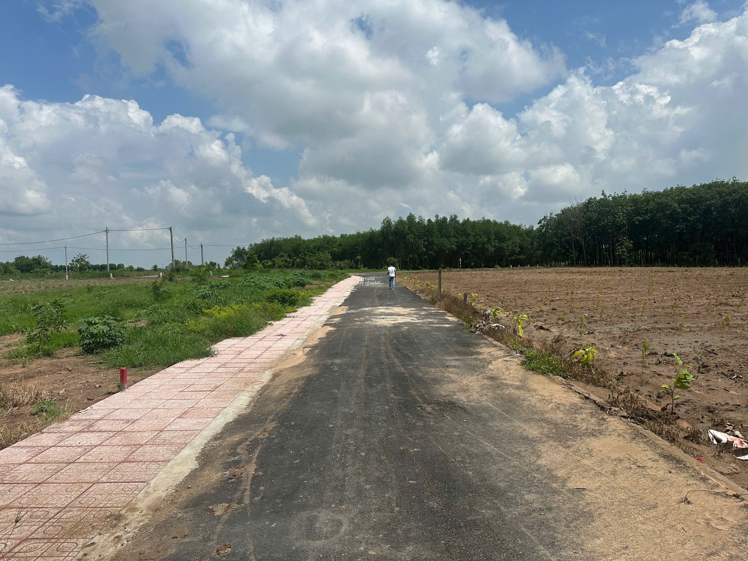 Bán đất Long Thành Đồng Nai, sổ hồng riêng, thổ cư, xây dựng tự do, sang tên ngay