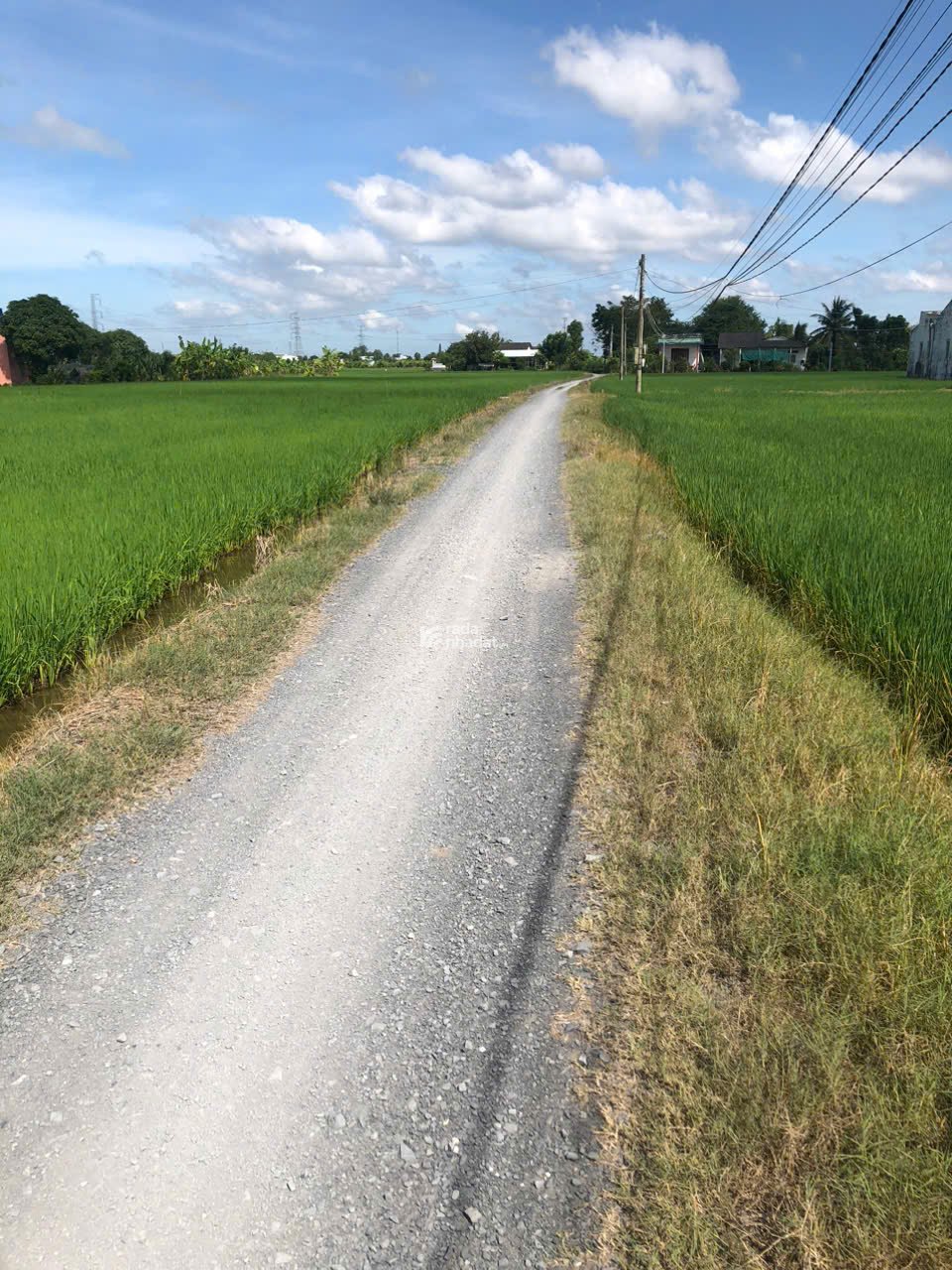 BÁN ĐẤT XÃ TÂN BÌNH TÂN TRỤ ĐƯỜNG XE HƠI SÁT TỈNH LỘ 2000M2 NHIK 1,5 TỶ