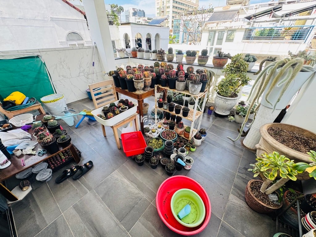 NHÀ 5 TẦNG - 65M2 - 7 PN - TRUNG TÂM QUẬN I - 15 TỶ 500