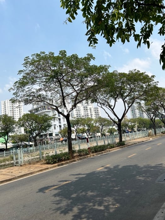 BÁN NHÀ PHƯỜNG 8 QUẬN 6 80M2 5.4 TỶ 7.5X10.5M 5PN BTCT SÁT MẶT TIỀN LÒ GỐM