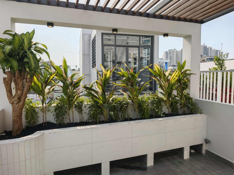  NHÀ MỚI 100%, 3PN, SÂN THƯỢNG, HẺM 4M DÂN TRÍ, NỞ HẬU TÀI LỘC