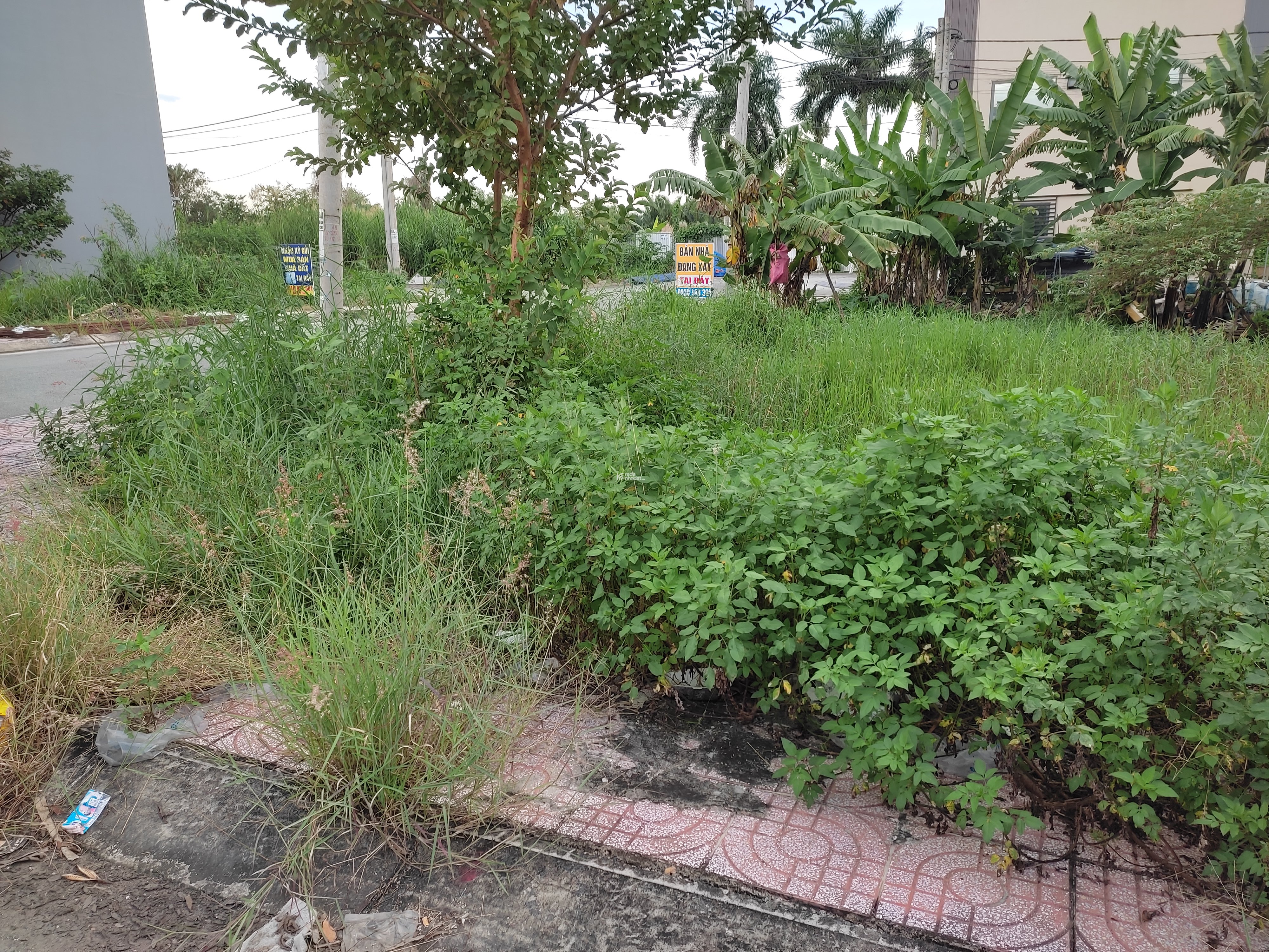 Đầu tư 2 tỷ - Đường nhựa 9m - Đất 56m2 vuông - Khu dân cư - 5p Vinhomes, Nguyễn Duy Trinh.