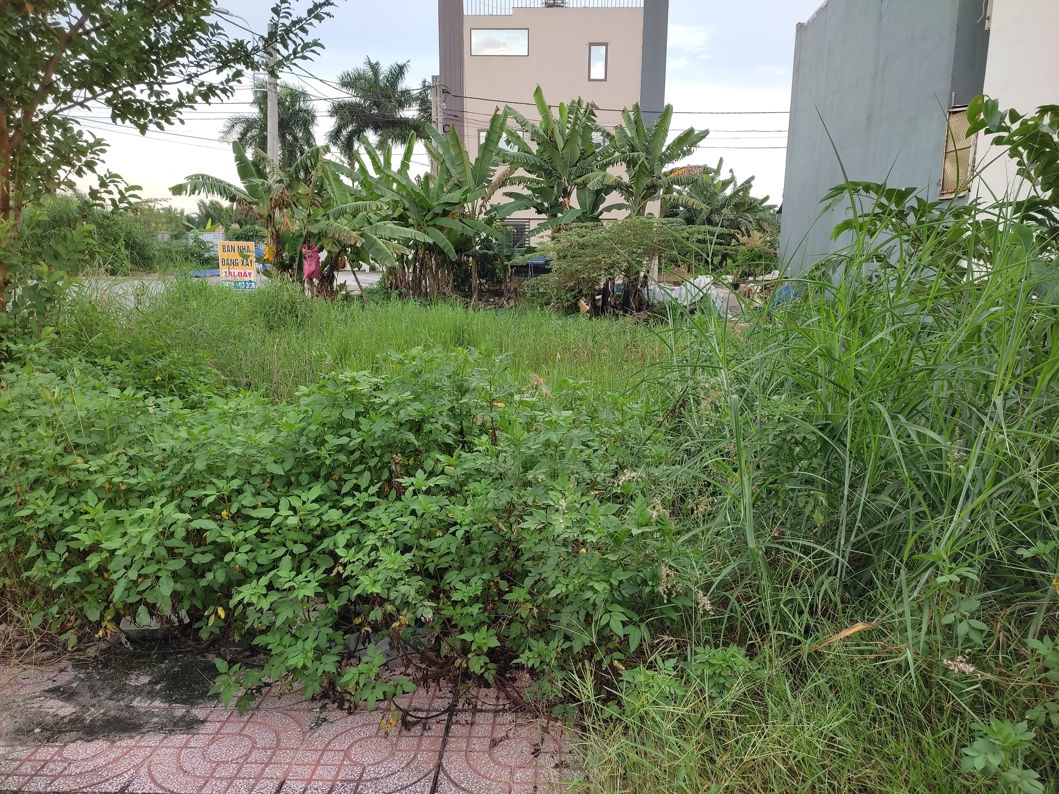 Đầu tư 2 tỷ - Đường nhựa 9m - Đất 56m2 vuông - Khu dân cư - 5p Vinhomes, Nguyễn Duy Trinh.