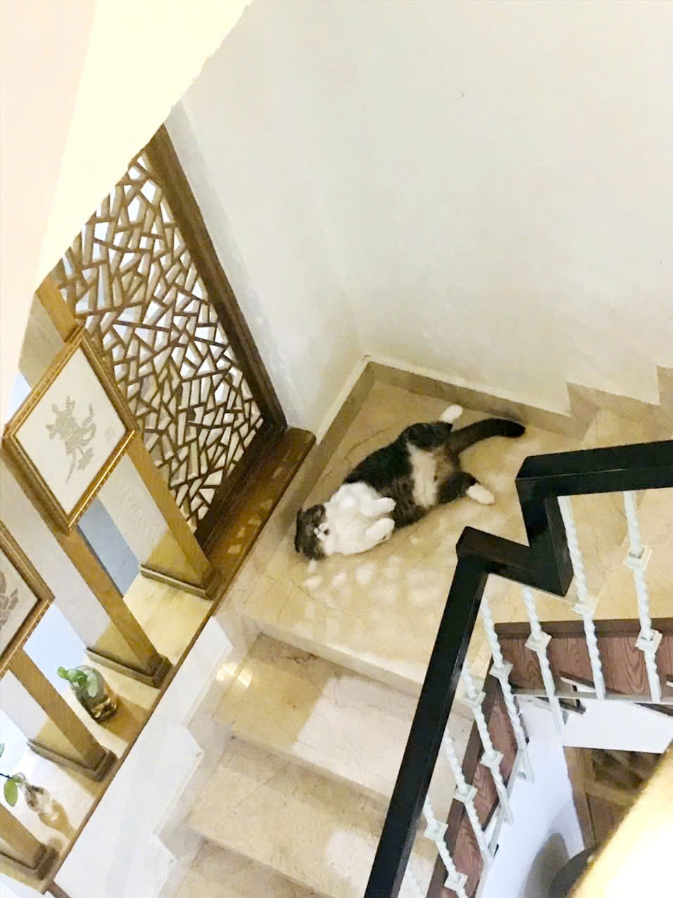 HOT: BÁN NHÀ 420/ HUỲNH VĂN BÁNH, PHƯỜNG 14 QUẬN PHÚ NHUẬN