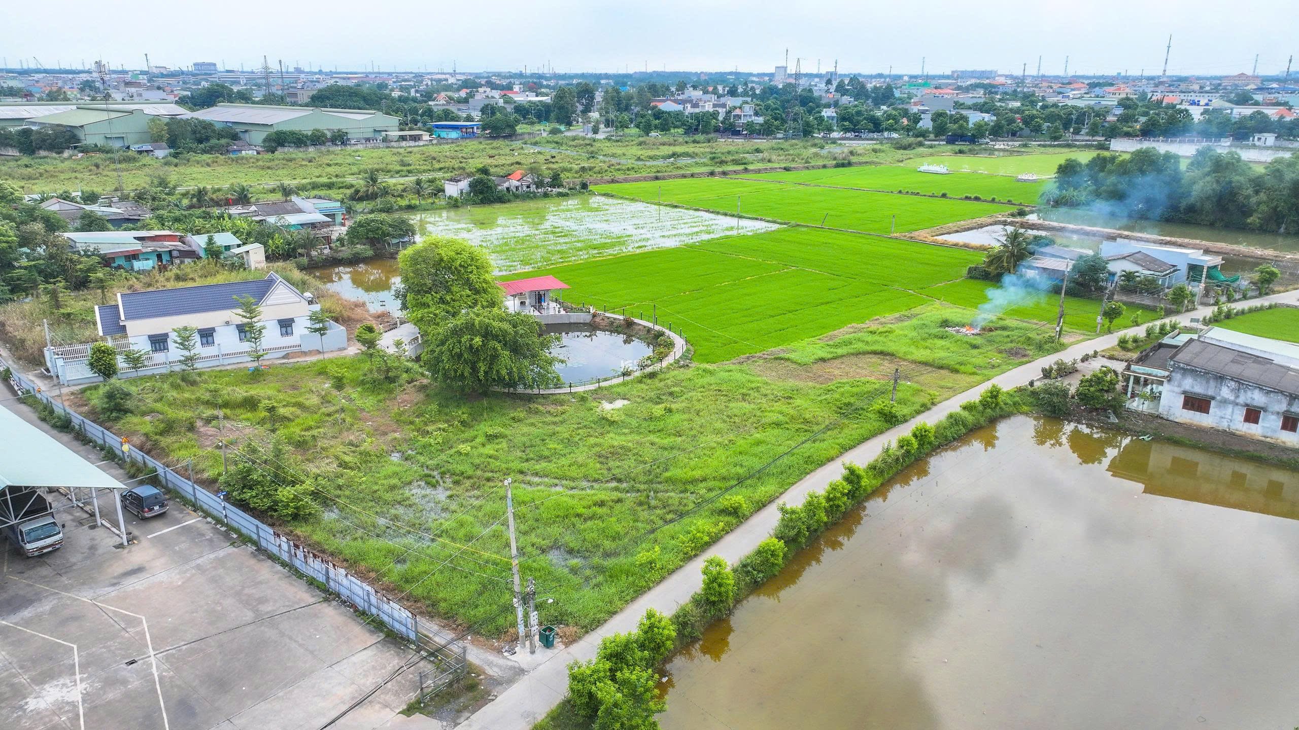 CƠ HỘI VÀNG SỞ HỮU ĐẤT TRUNG TÂM BẾN LỨC TRƯỚC KHI GIÁ TĂNG