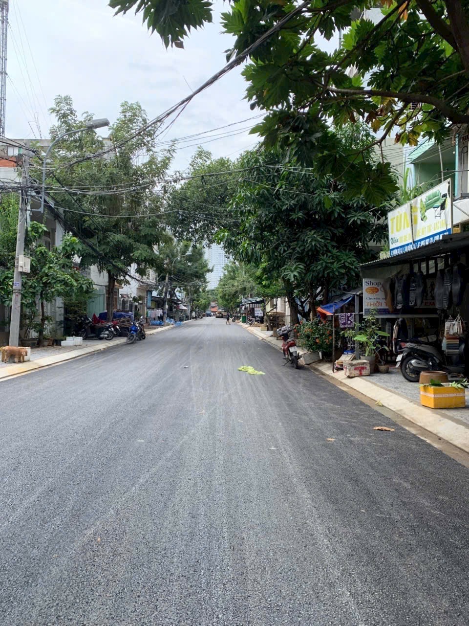 Hot Nhà Mặt Tiền Đường Số, Tân Kiểng Q7, 2 Tầng, 6Tỷ TL