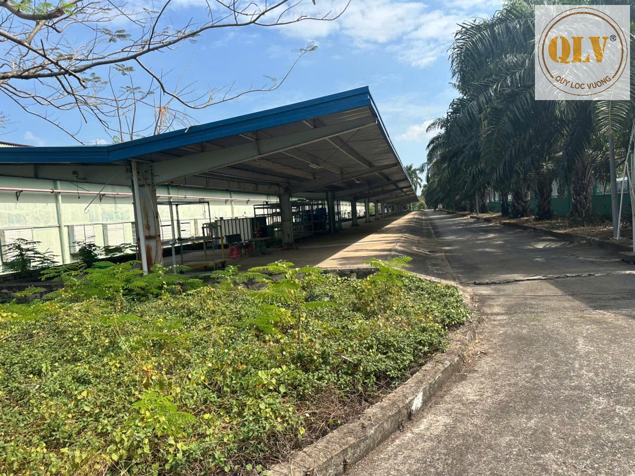 BÁN NHÀ XƯỞNG  KCN MỸ XUÂN, BR-VT  21.439m2