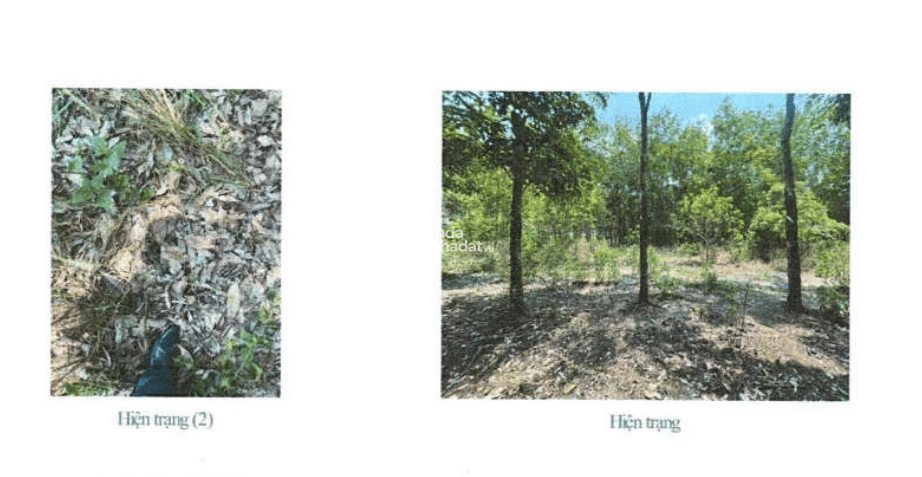 BÁN ĐẤU GIÁ TS VIB L6_TP. ĐỒNG XOÀI, BÌNH PHƯỚC (NAY LÀ PHƯỜNG BÌNH PHƯỚC, TỈNH ĐỒNG NAI)