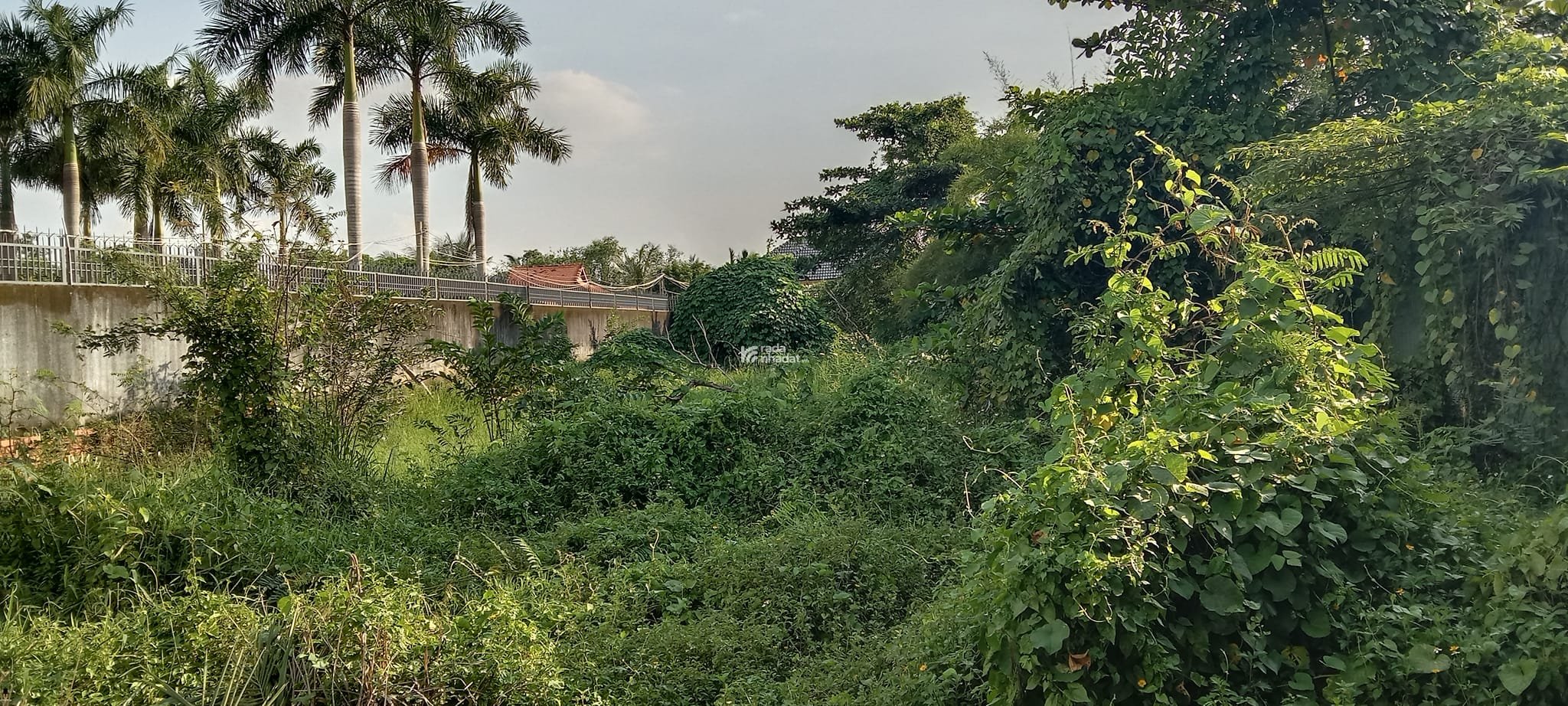 Bán đất quận 9 mặt tiền đường Long Phước gần -Vinhomes Grand Park quận 9 -915m2 sổ đỏ chính chủ