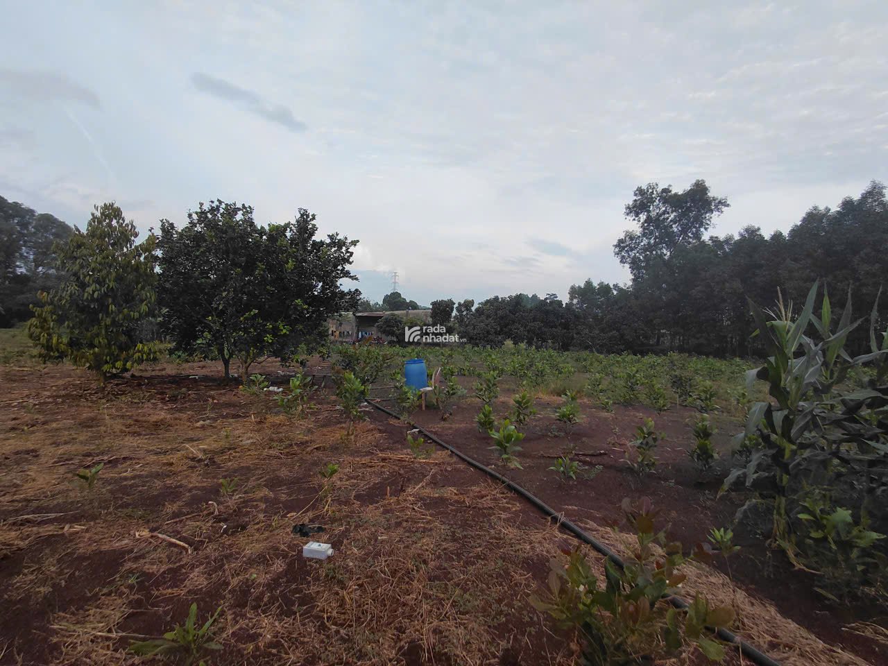 cần bán đất chính chủ,đất phủ hồng.pháp lí rõ ràng