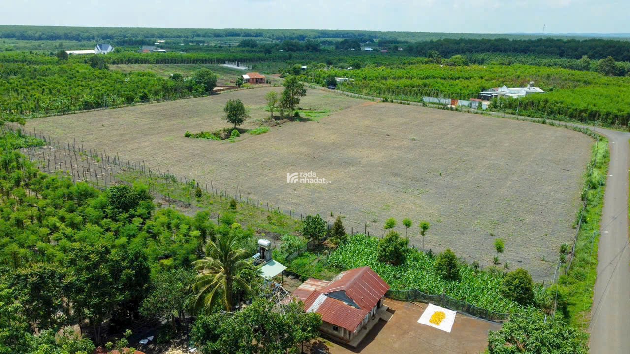 Cần tiền bán gấp lô đất 200m2 