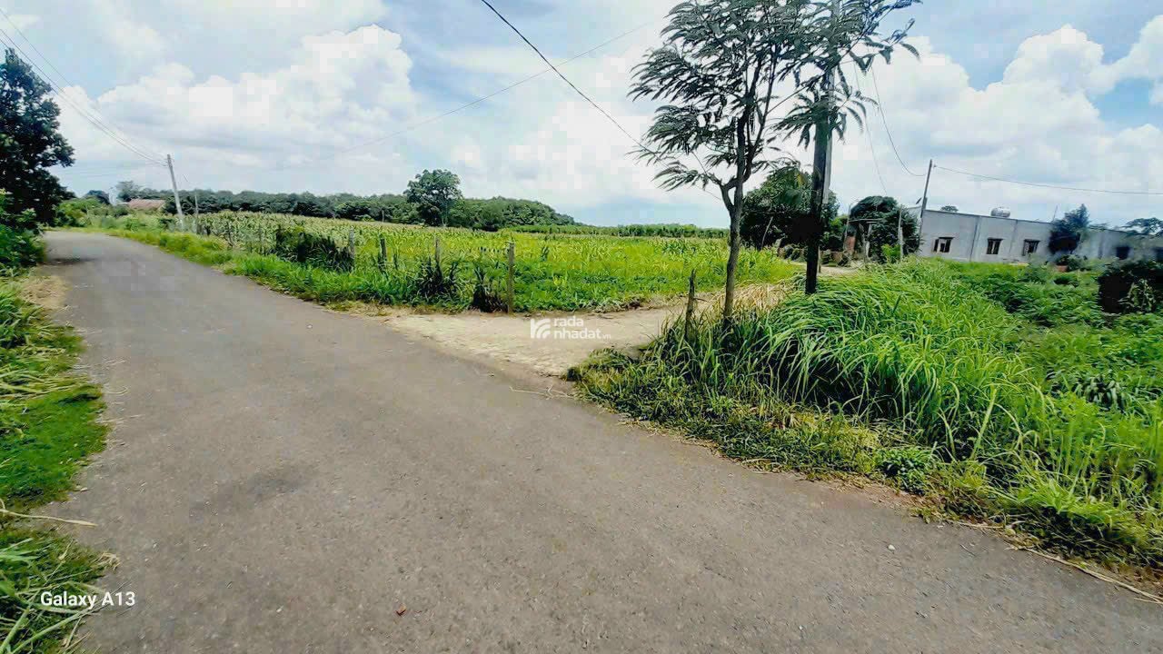 Cần tiền bán gấp lô đất 200m2 