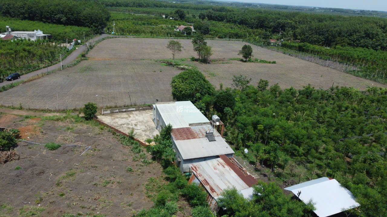 Cần tiền bán gấp lô đất 200m2 