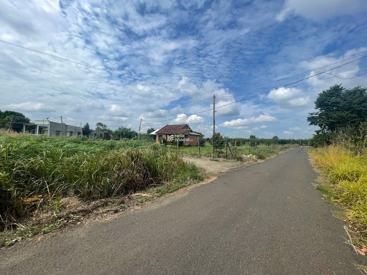 Cần tiền bán gấp lô đất 200m2 