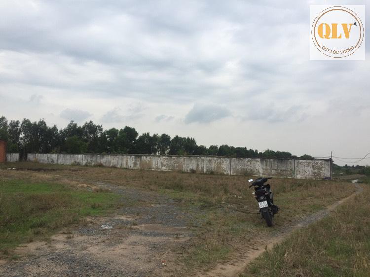 BÁN ĐẤT XÂY DỰNG NHÀ XƯỞNG GÒ DẦU, TÂY NINH 36.176m2