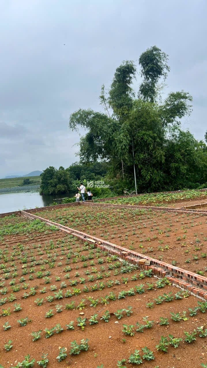 Mở bán lô đất view hồ giá chỉ nhỉnh 2 tỷ