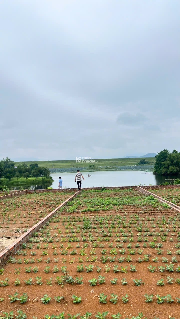 Mở bán lô đất view hồ giá chỉ nhỉnh 2 tỷ