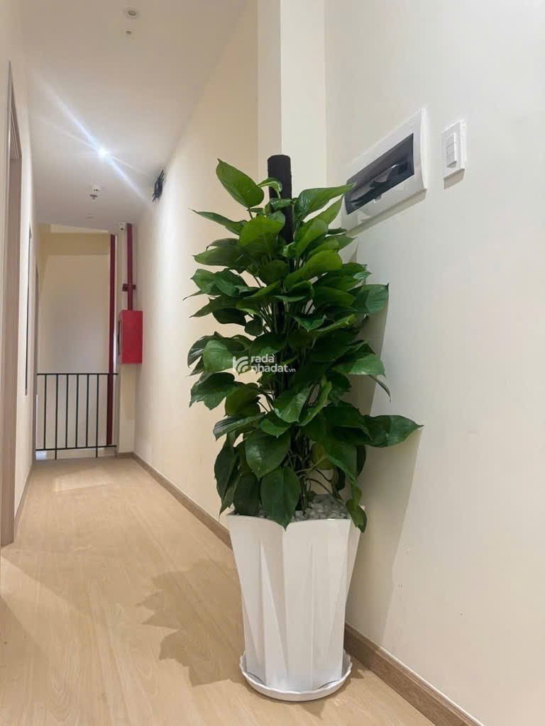 CHDV mặt tiền đường 12m 98m2 (4x25) ngay chợ đêm 6 lầu TMáy 12 căn hộ TN60tr chỉ 16 tỷ 
