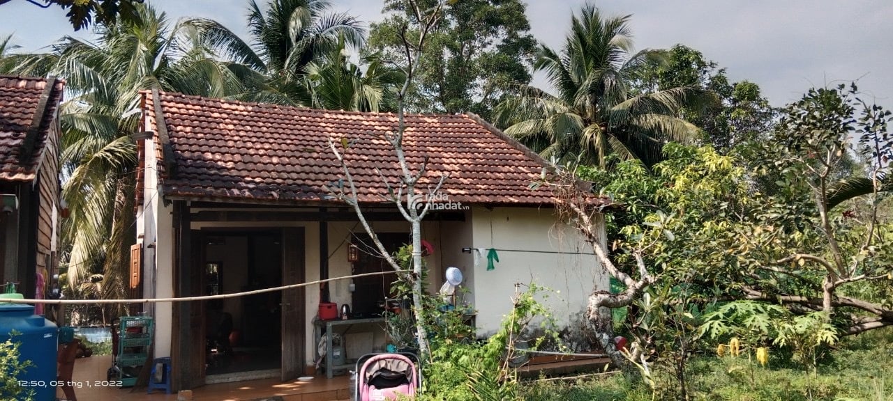 Đất sẵn nhà vườn 3501m2 ,gần Vinhome quận 9 , xe ô tô tới đất ,có bến Cano