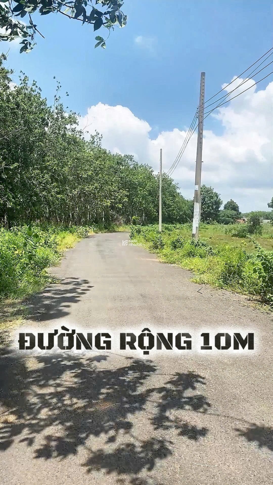 Bán lô đất suối gần biển mặt tiền đường nhựa ô tô