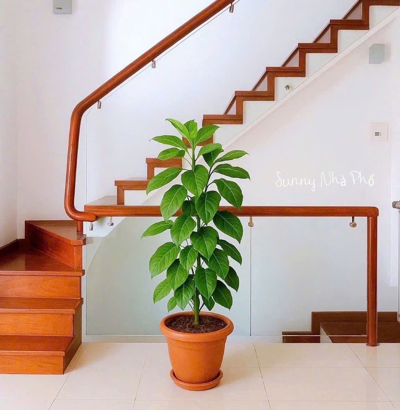 Bán nhà Hẻm Xe hơi Cách Mạng Tháng Tám - QUẬN 3 - Diện tích 5.5 x 19 m - Giá 25 tỷ