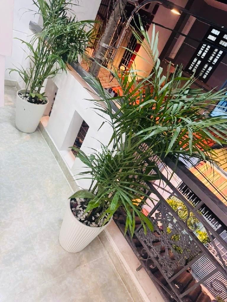 HXH 5m Lê Văn Quới giáp Tân Phú - Nhỉnh 4 Tỷ