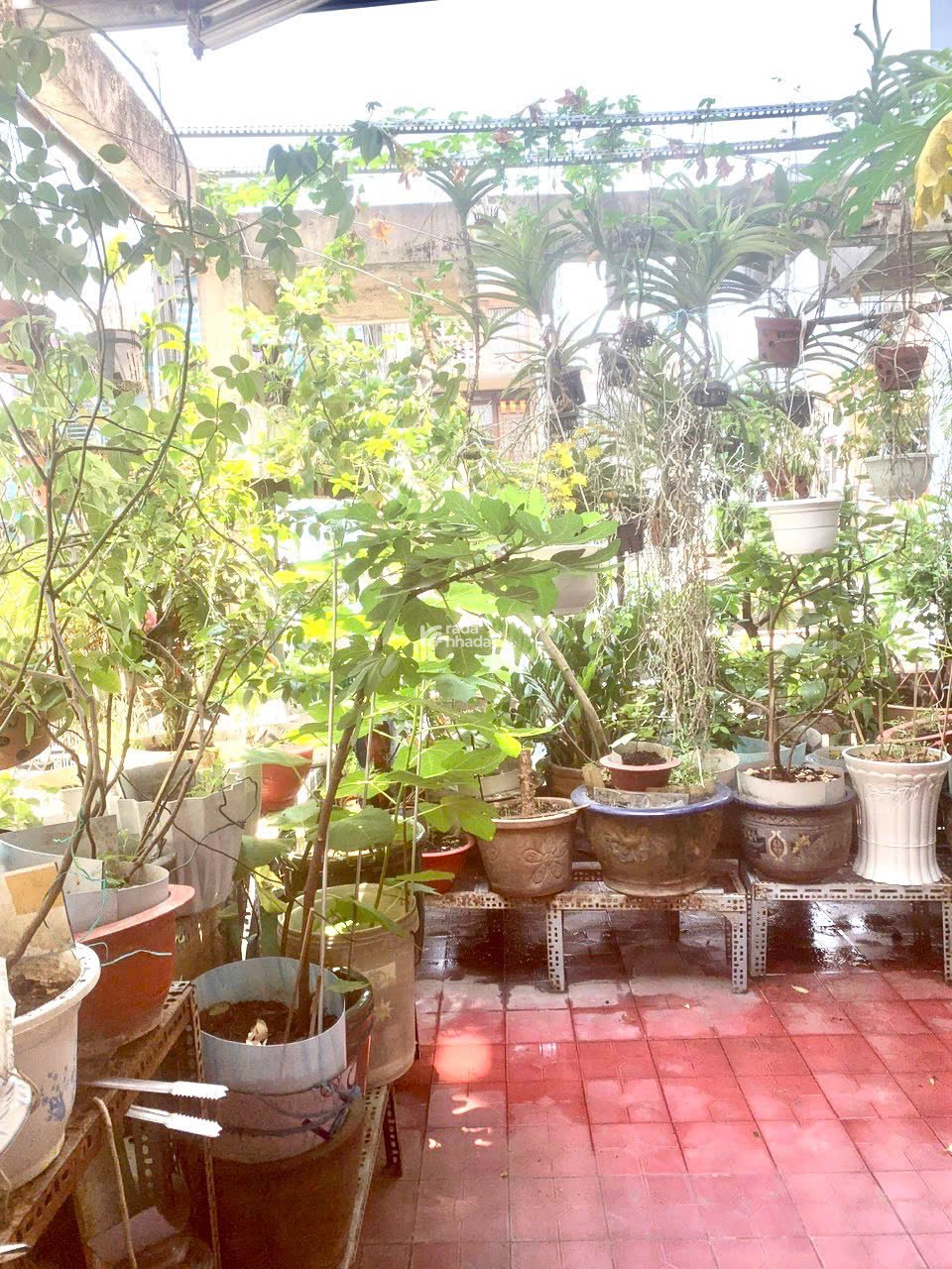 Bán nhà mặt tiền Sư Vạn Hạnh quận 10 - 24.2 tỷ