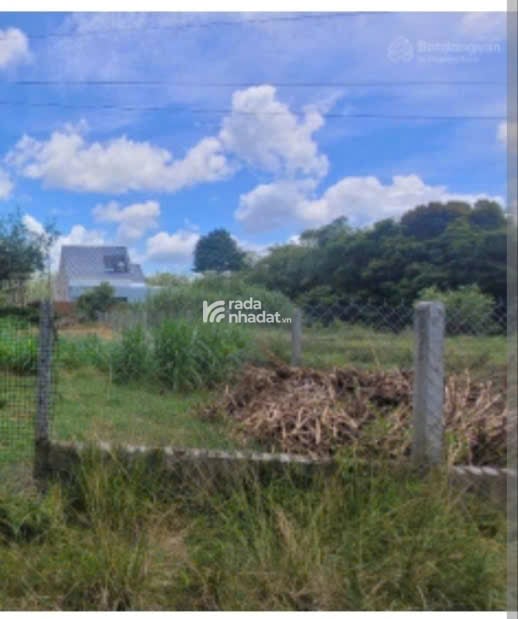 Bán nền đất MT Đường Mới Xã Thanh Sơn H.Đinh Quán T. Đồng Nai 6,5mx27m 320 triêu