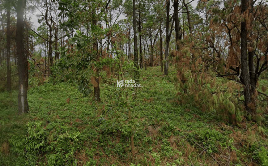 Đất nền tại Thôn 4, Hoàng Tân, Quảng Ninh diện tích 950 m2, giá bán 33,5 tỷ VND có thương lượng