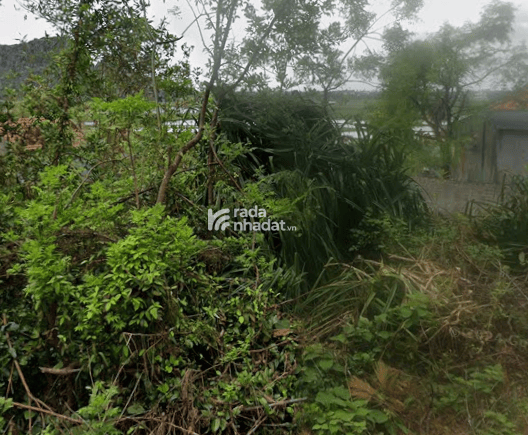 Đất nền tại Thôn 4, Hoàng Tân, Quảng Ninh diện tích 950 m2, giá bán 33,5 tỷ VND có thương lượng